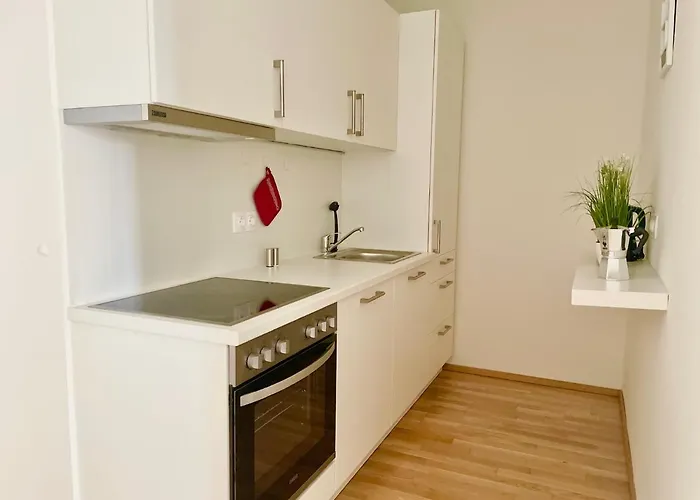 55m2 Flat With Balcony & Parking Vienna